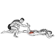 pregibi zadnje lože potrbuške s pomoći — fitness vježba