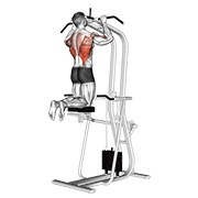 zgibovi s pomoći — fitness vježba