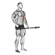 naizmjenični pregibi bicepsa sa šipkom — fitness vježba