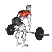 veslanje u pretklonu sa šipkom — fitness vježba