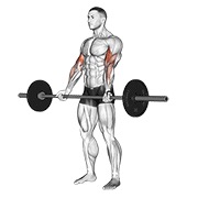 pregibi sa šipkom — fitness vježba