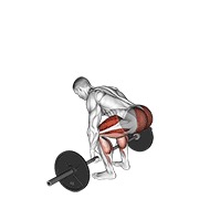 mrtvo dizanje sa šipkom — fitness vježba