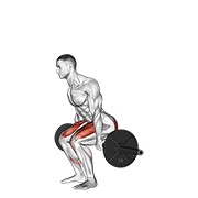 hack čučanj sa šipkom — fitness vježba