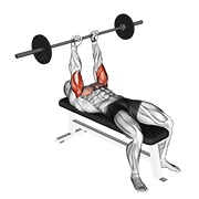 JM potisak s klupe sa šipkom — fitness vježba
