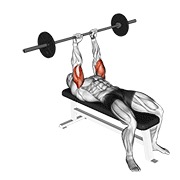 ekstenzije za triceps ležeći sa šipkom — fitness vježba