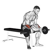 obrnuti pregibi zapešća sa šipkom v. 2 — fitness vježba