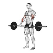 obrnuti pregibi sa šipkom — fitness vježba