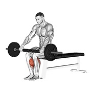 podizanje listova sjedeći sa šipkom — fitness vježba