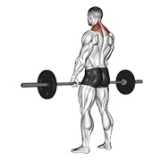 slijeganje ramenima sa šipkom — fitness vježba
