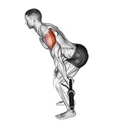skijaš sa šipkom — fitness vježba