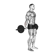 stojeći pregibi zapešća unazad sa šipkom — fitness vježba