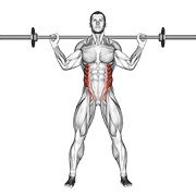 stojeća rotacija trupa sa šipkom — fitness vježba