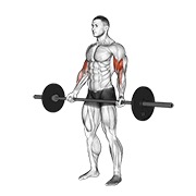 stojeći pregibi širokim hvatom sa šipkom — fitness vježba
