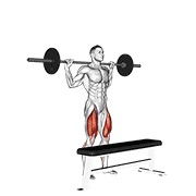 uspon na stepenicu sa šipkom — fitness vježba