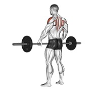 uspravno veslanje širokim hvatom sa šipkom — fitness vježba