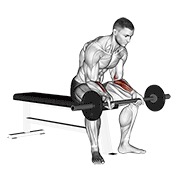 pregibi zapešća sa šipkom v. 2 — fitness vježba