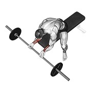 pregibi zapešća sa šipkom — fitness vježba