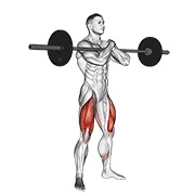 Zercher čučanj sa šipkom — fitness vježba