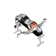 fly na negativnoj klupi na sajli — fitness vježba
