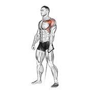 prednje podizanje na sajli — fitness vježba