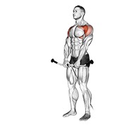 prednje podizanje na sajli — fitness vježba