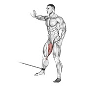addukcija kukova na sajli — fitness vježba