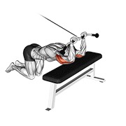 klečeće ispružanje tricepsa na sajli — fitness vježba