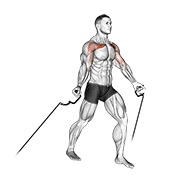 donje razvlačenje na sajli — fitness vježba