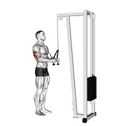 pushdown na sajli (s užetom) — fitness vježba
