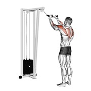 veslanje za stražnje deltoide na sajli (s užetom) — fitness vježba