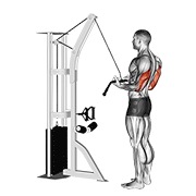 pushdown obrnutim hvatom na sajli — fitness vježba
