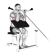 obnuti pregibi na scott klupi na sajli — fitness vježba