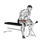 obnuti pregibi zapešća na sajli — fitness vježba