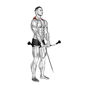 slijeganje ramenima na sajli — fitness vježba