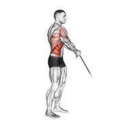 stojeće podizanje na sajli — fitness vježba