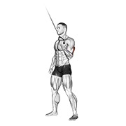 stojeće ispružanje tricepsa jednom rukom na sajli — fitness vježba