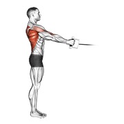stojeće veslanje na sajli (V-ručica) — fitness vježba