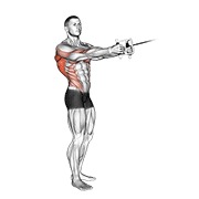stojeće veslanje s rotacijom na sajli (V-ručica) — fitness vježba
