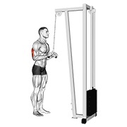potisak tricepsa na sajli (V-ručica) — fitness vježba