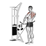 uspravno veslanje na sajli — fitness vježba