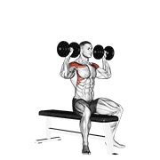 sjedeći potisak s bučicama na klupi — fitness vježba