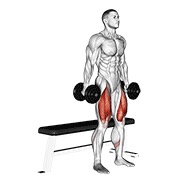 čučanj s bučicama uz klupu — fitness vježba