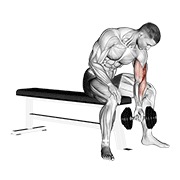 koncentracijski pregibi s bučicom — fitness vježba