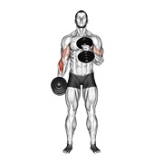 čekić pregibi preko tijela s bučicama — fitness vježba