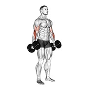 bučice čekić pregibi v. 2 — fitness vježba