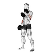 bučice čekić pregibi — fitness vježba