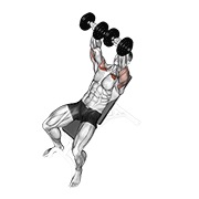 bučice potisak s pozitivne klupe — fitness vježba