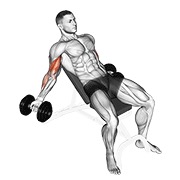 bučice unutarnji biceps pregibi na pozitivnoj klupi — fitness vježba