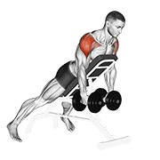 bučice stražnje lateralno podizanje na pozitivnoj klupi — fitness vježba