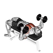 bučice ležeći čekić potisak — fitness vježba
